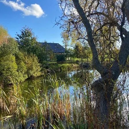 Harmony House - Blue *