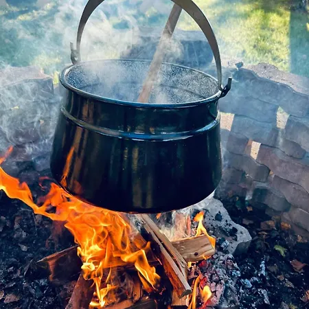 Harmony House - Blue *