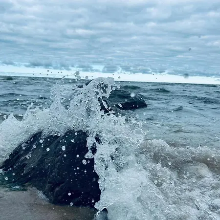 Harmony House - Blue *