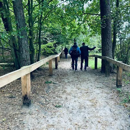 Harmony House - Blue *