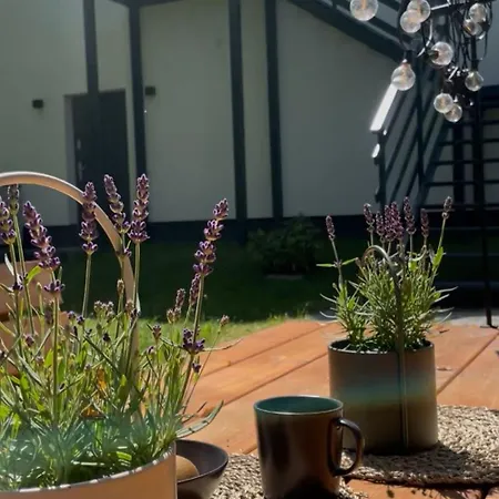 Apartament Harmony House - Blue