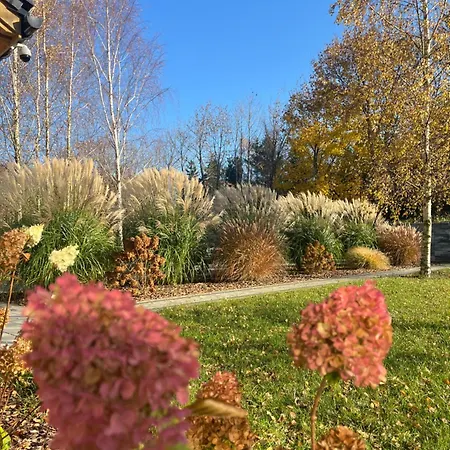 Harmony House - Blue アパート コウチェボ