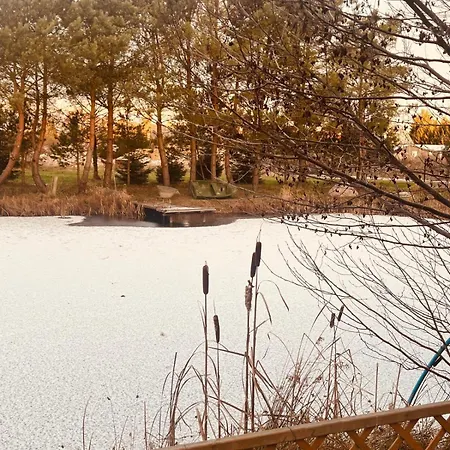 Harmony House - Blue Apartament *