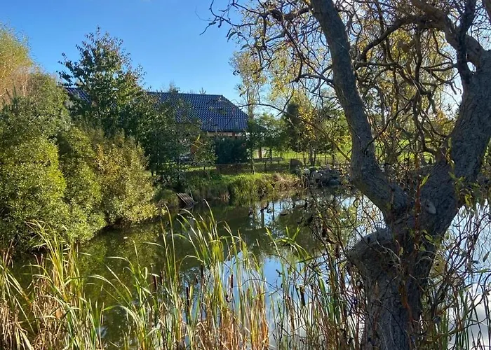 Harmony House - Blue *