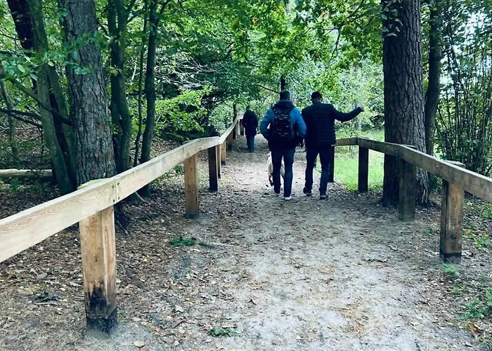 Harmony House - Blue *