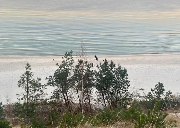 アパート Harmony House - Blue *